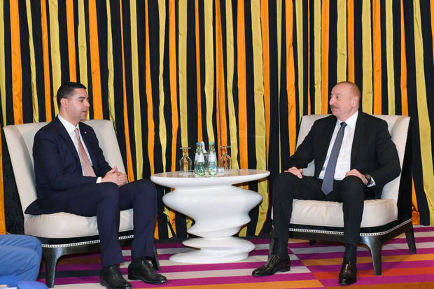 munhende-ilham-eliyevin-atet-in-fealiyyetde-olan-sedri-ian-borqla-gorusu-olub-foto